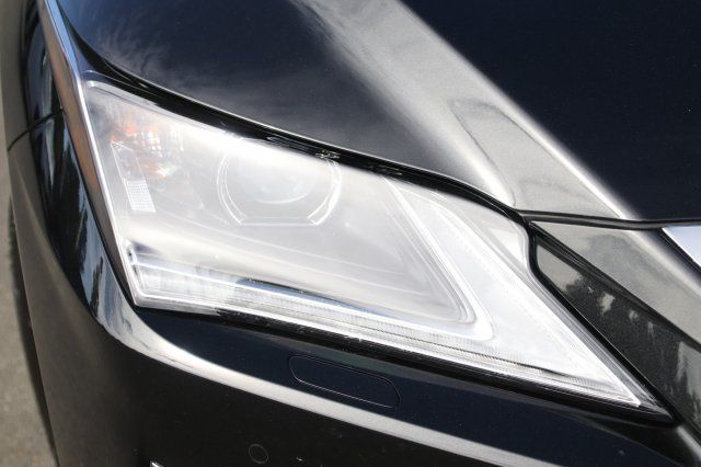 2019 Lexus RX