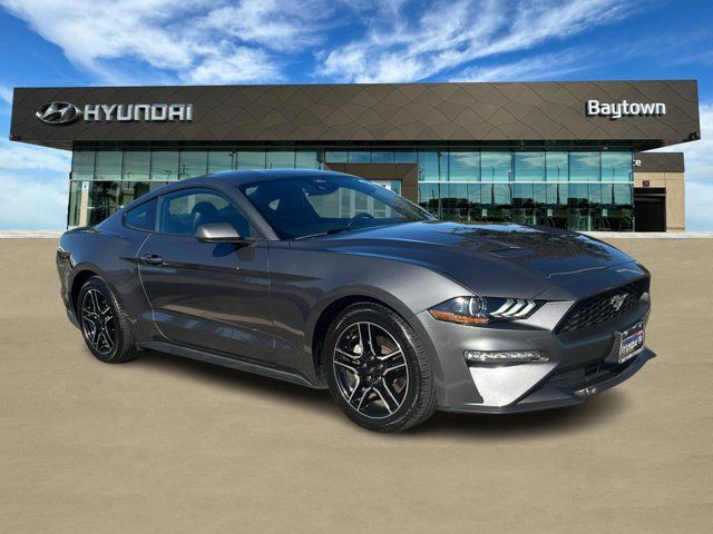 Used 2023 Ford Mustang