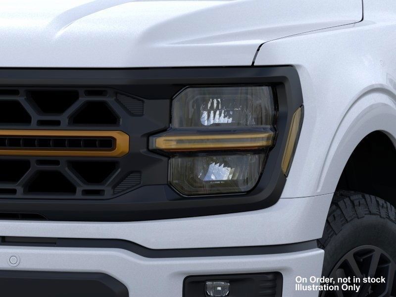 2025 Ford F-150 Tremor photo 11