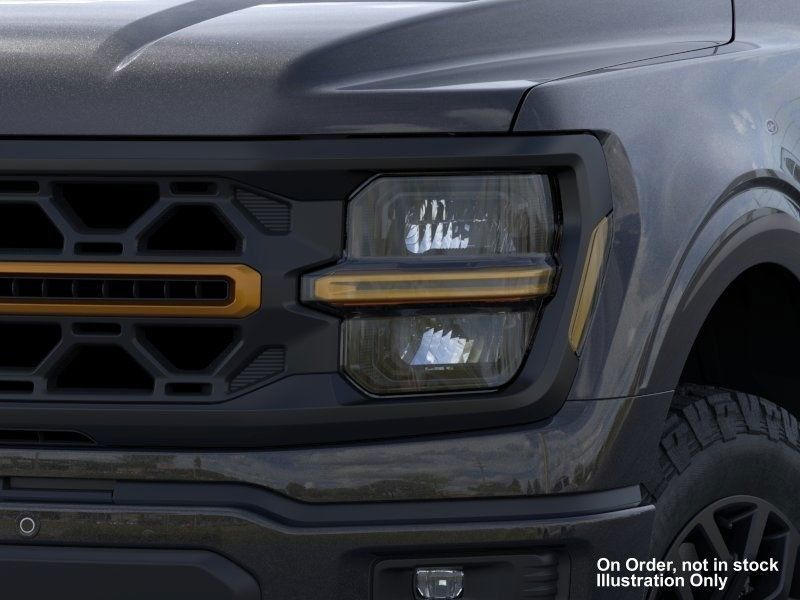2025 Ford F-150 Tremor photo 13