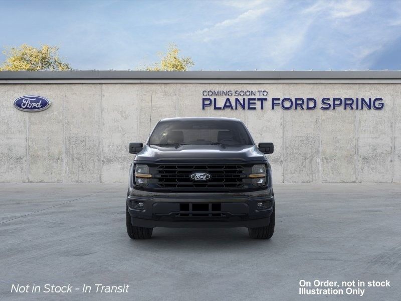 2025 Ford F-150 XLT photo 6