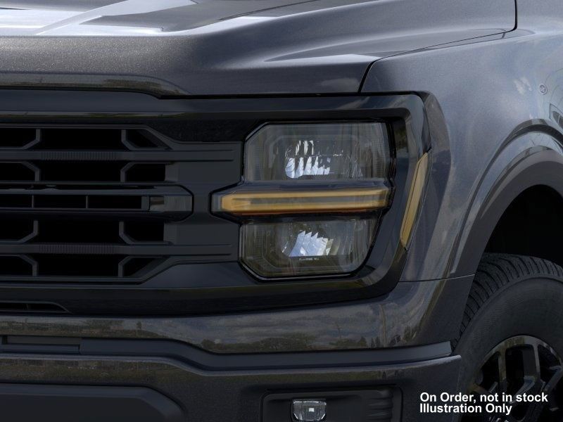 2025 Ford F-150 XLT photo 13