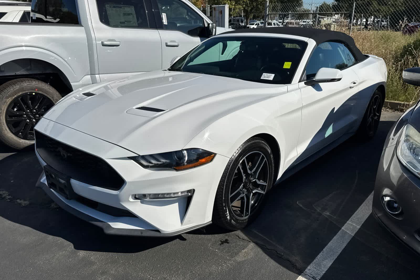 Used 2019 Ford Mustang