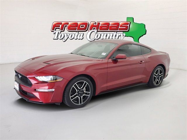 Used 2019 Ford Mustang