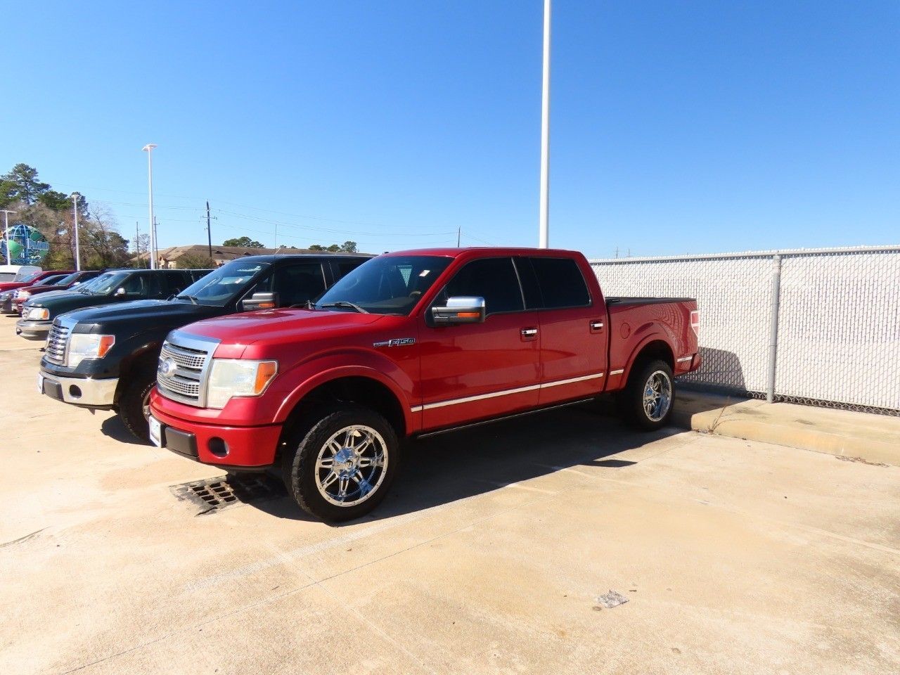 Used 2010 Ford F-150 Platinum with VIN 1FTFW1CV1AFB46623 for sale in Spring, TX