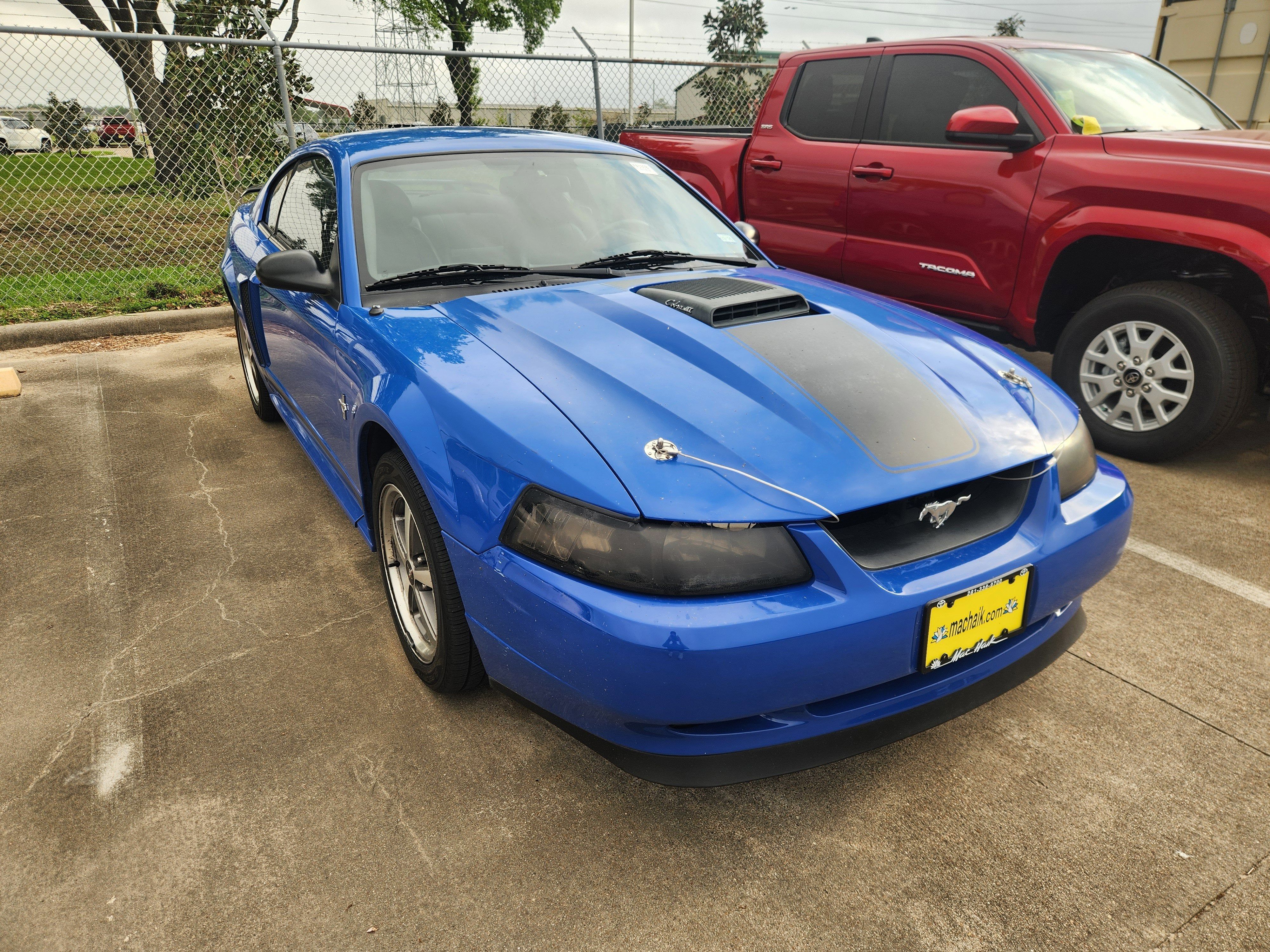 Used 2003 Ford Mustang