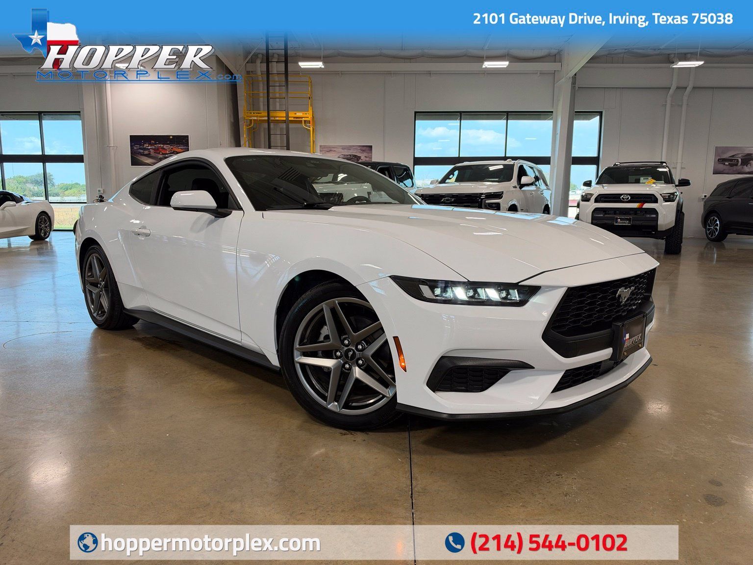 Used 2024 Ford Mustang